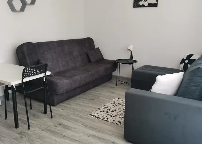 公寓 Lilia 格但斯克